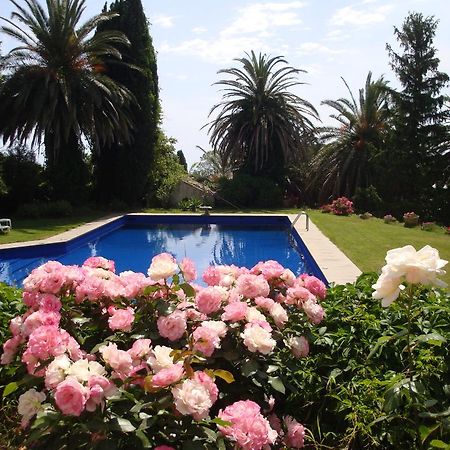 Villa Iolanda-Sive Natura Wine&House Giarre Exterior foto