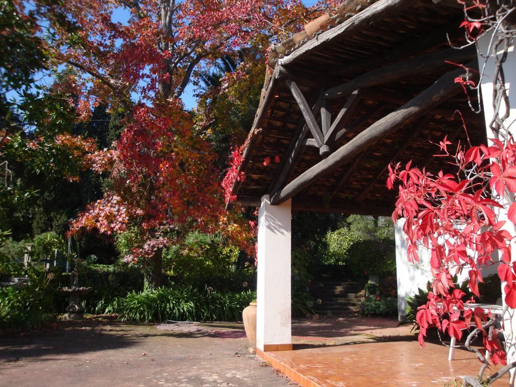 Villa Iolanda-Sive Natura Wine&House Giarre Exterior foto